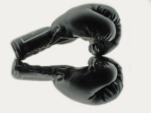 boxing gloves fight stock