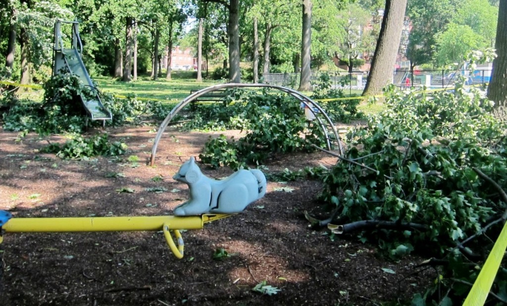 The surprise derecho that hit June 29, 2012, caused branches to fall throughout the city. Here, fallen limbs surround an empty seesaw at Hamilton Park playground, closed due to storm damage.