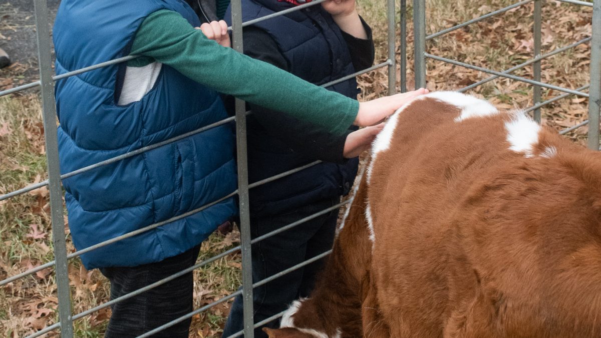 Church holds petting zoo to honor Jesus’ birth