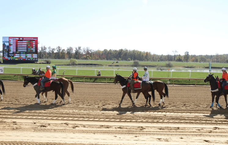 Horse racing resumes at Laurel Park