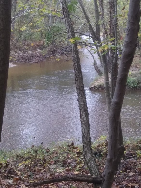 Paint Branch Creek and Indian Creek in College Park