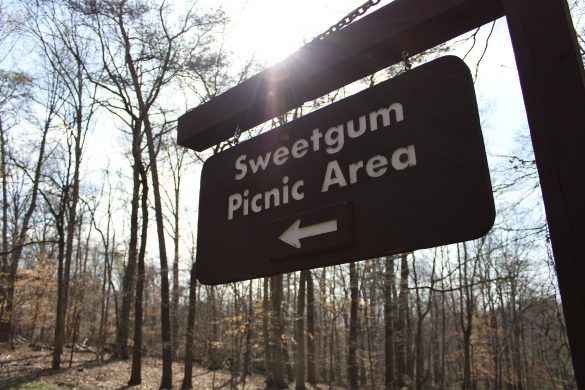 picnic area sign