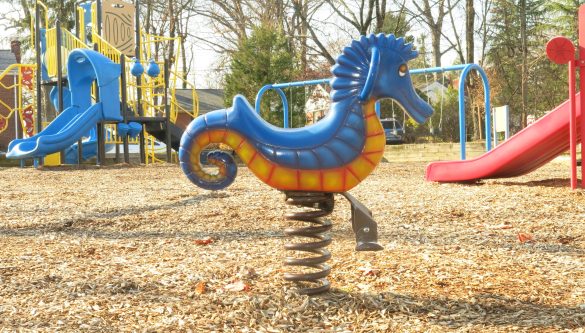 A Smiling Seahorse in the playground at Berwyn Park